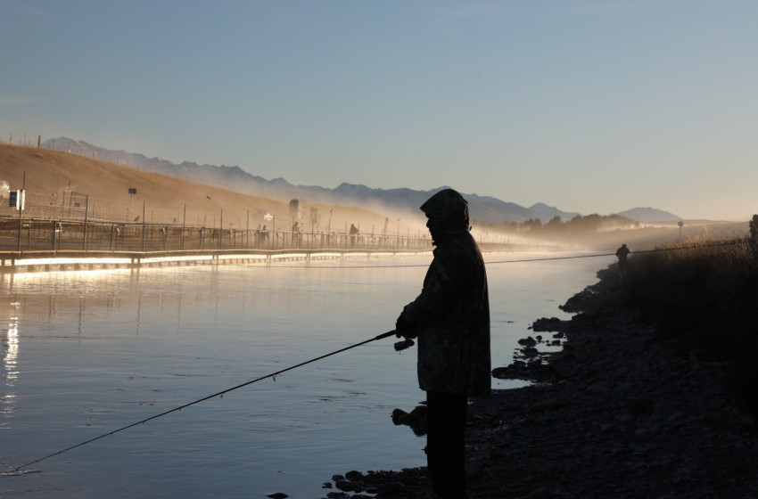 Canal angler entangled in his own web of lies