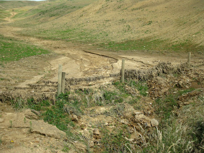 Image2