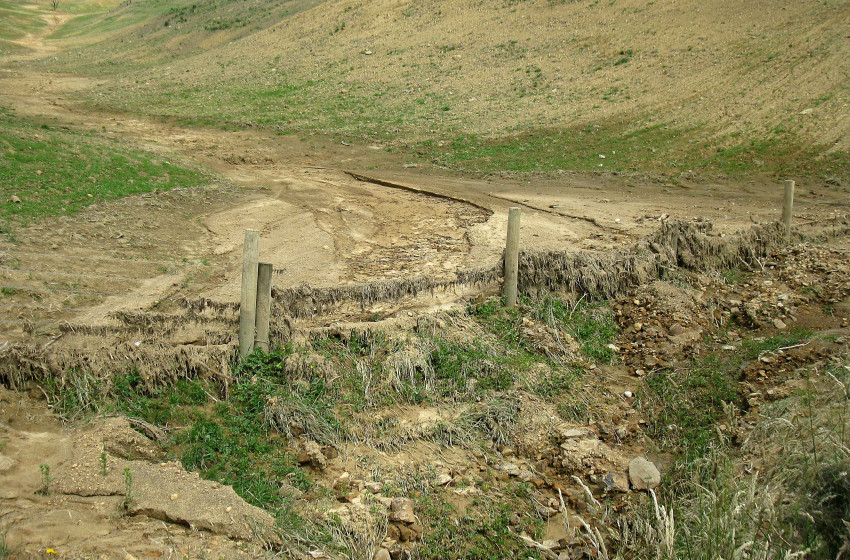 Concern over impact of winter crop grazing on Otago Rivers