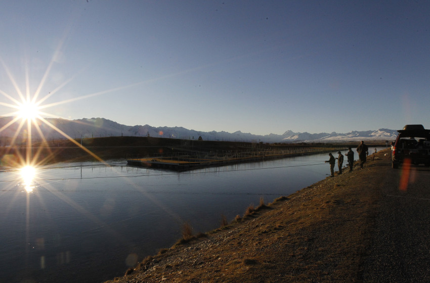 Fish & Game criticise “act of wanton vandalism”