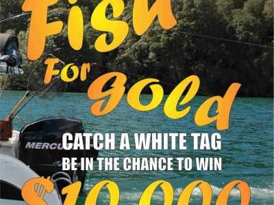 Fish for Gold 2019 thumbnail jpg2