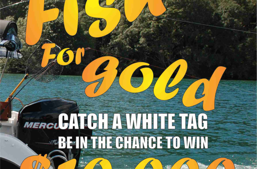 Fish for Gold 2019