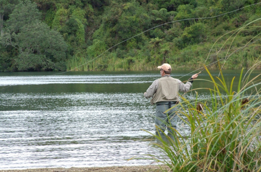 Fish for Winter Trout