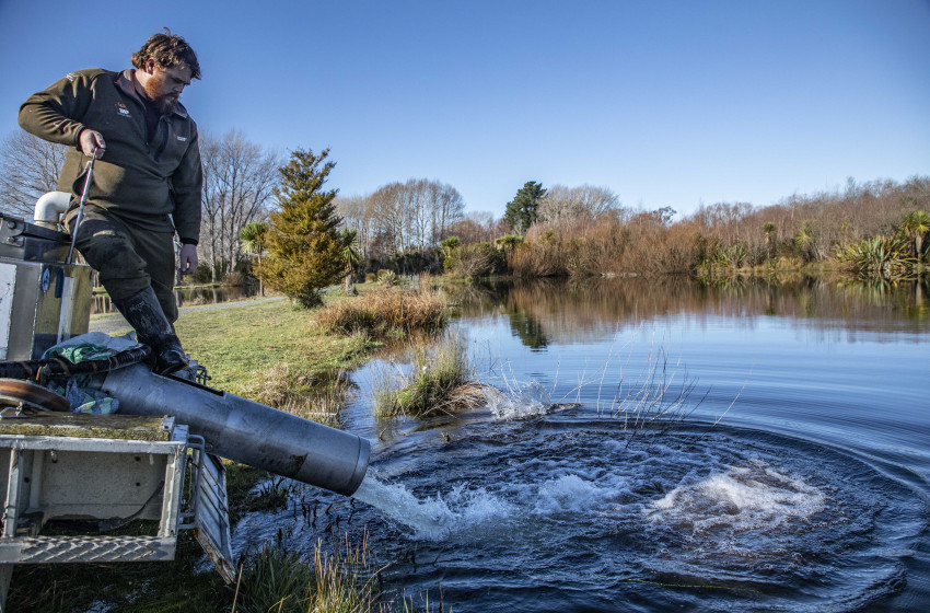 Fish release for July School Holidays in Christchurch
