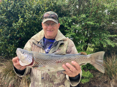 trout