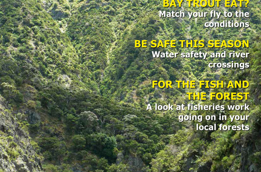 Hawke's Bay Fish & Game's trout fishing season newsletter