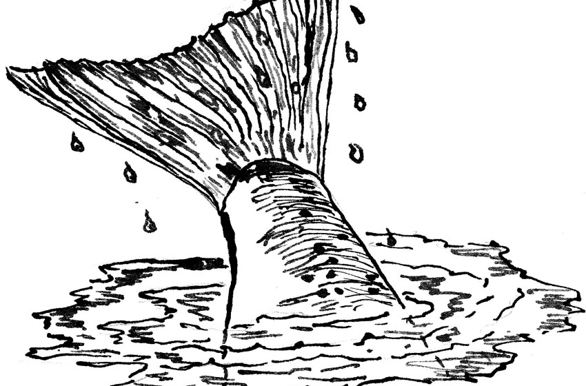 Hugh Creasy's column August 2020
