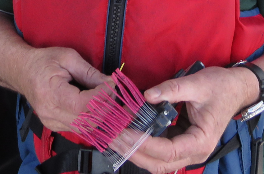 ‘Irresistible bait’ of $10k dangled in front of anglers