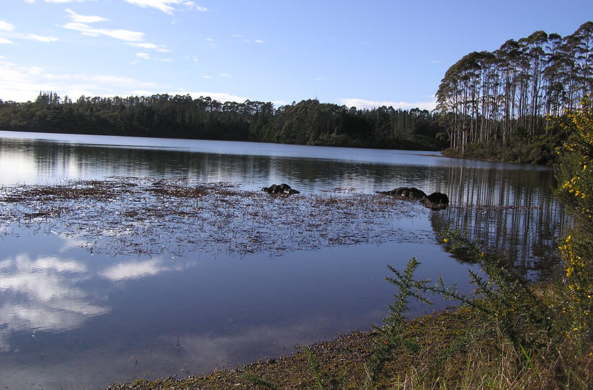 Lake Manuwai, Kerikeri Temporarily CLOSED