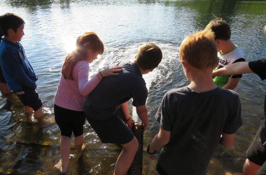 ‘More trout for anglers’ at Lake McLaren and Ruahihi Canal