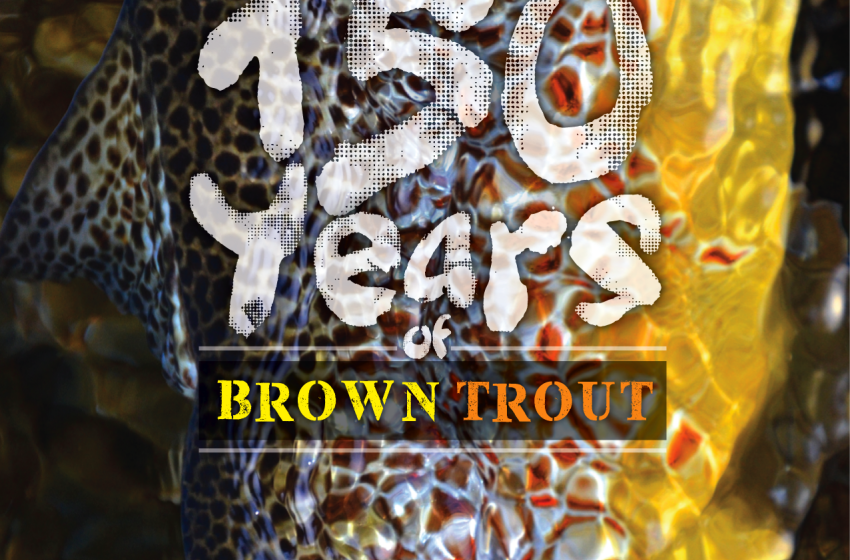 New trout licences on sale!