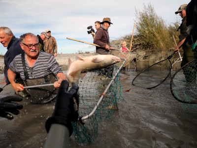FGNZ NC WaimakSalvage024