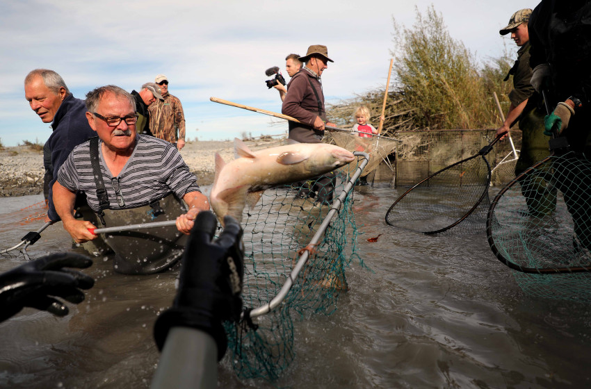 North Canterbury Weekly fishing report 28 April 2017