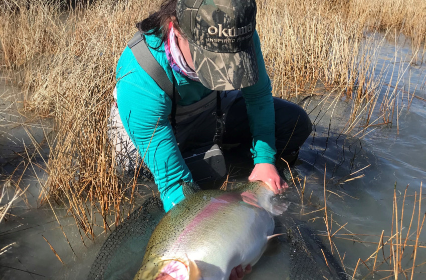 Ōhau River Spring Season ballots – Period 2 ballot open for entries