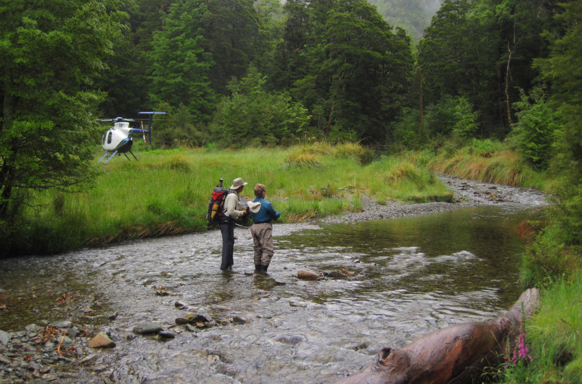 Post-Covid tourism boost as overseas anglers return to New Zealand