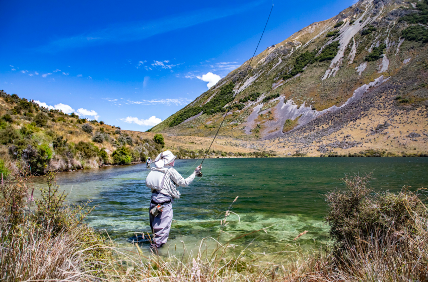 Proposed law turns back on Kiwi way of life