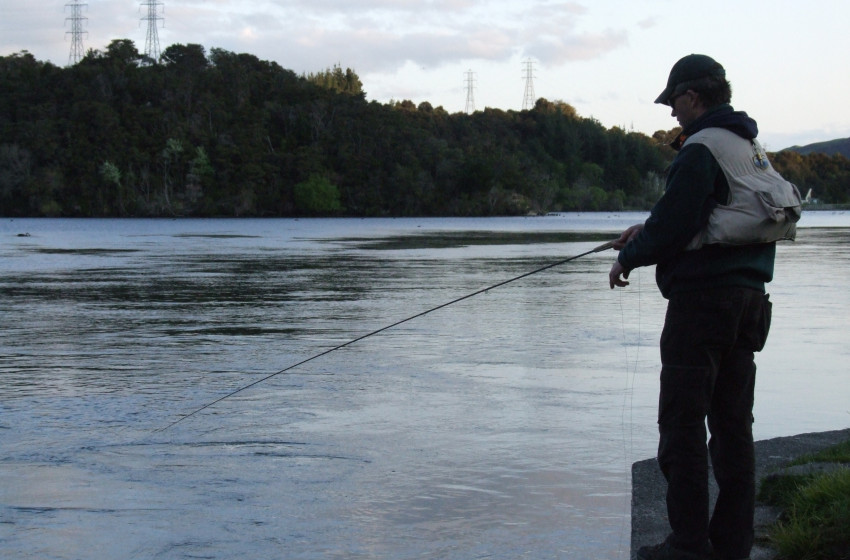 Trout boost for eastern hydro lakes