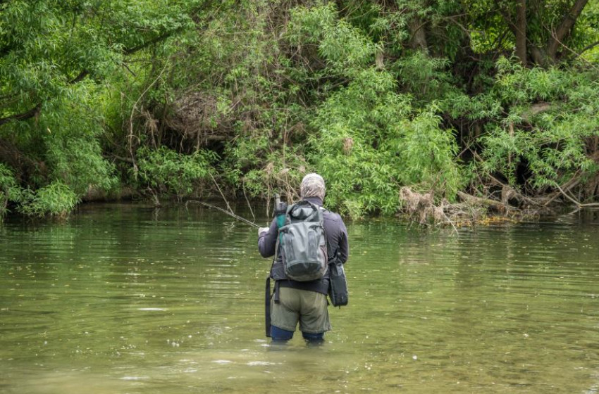 Weekly Fishing Report -  15th November 2018