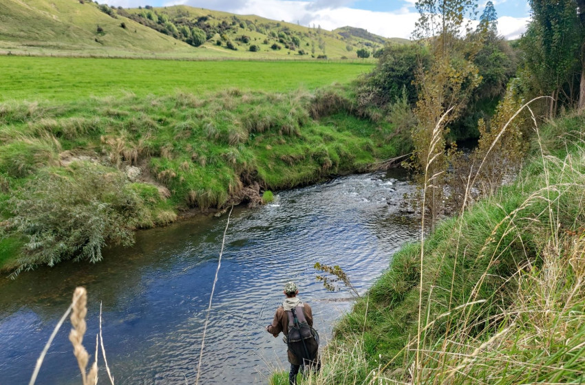 Wellington Weekly Fishing Report - 17 March 2022