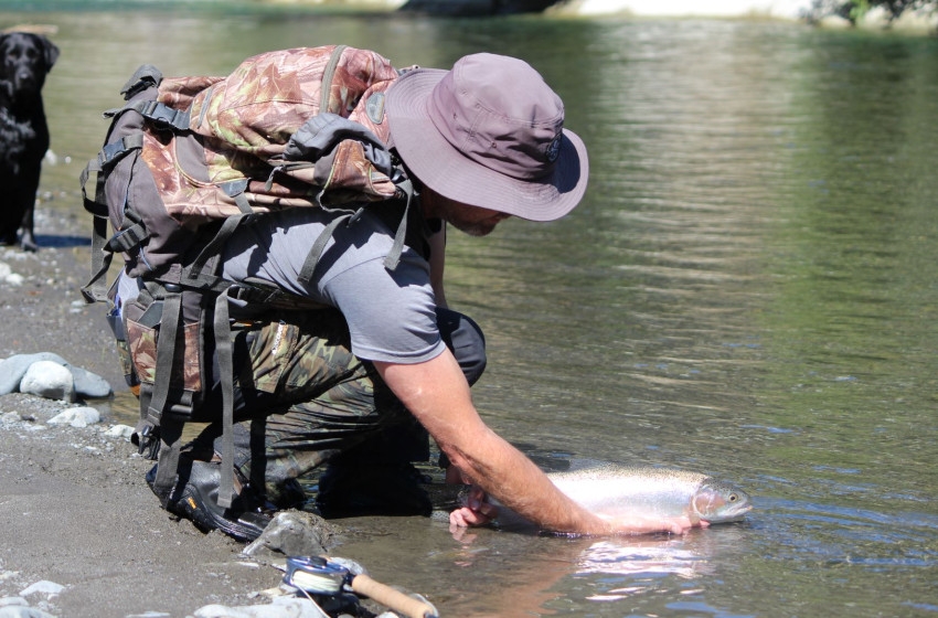 Wellington Weekly Fishing Report - 31 March 2022