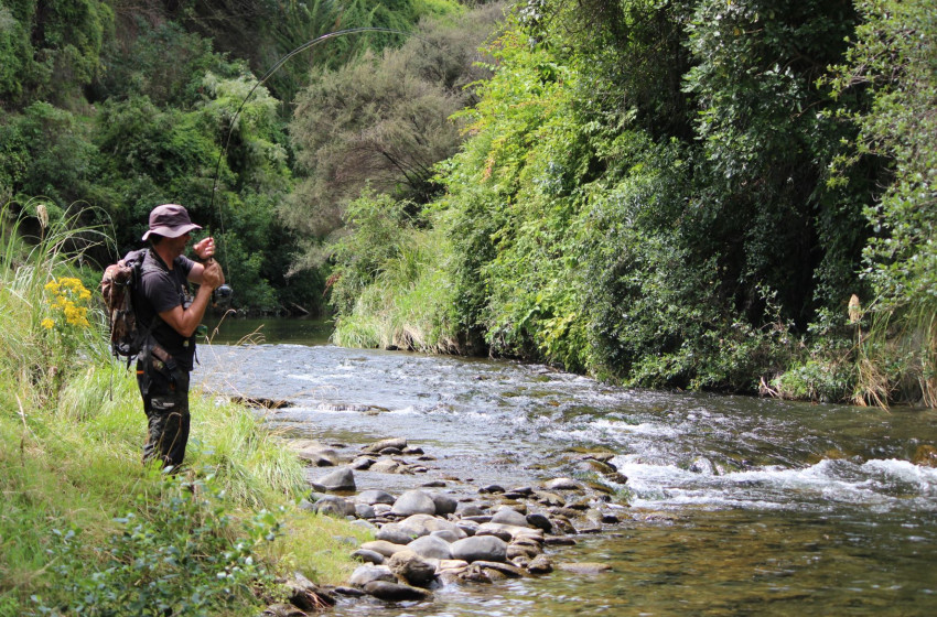 Wellington Weekly Fishing Report - 7 April 2022