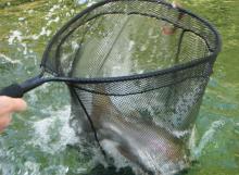 4. Gotcha moment... 0