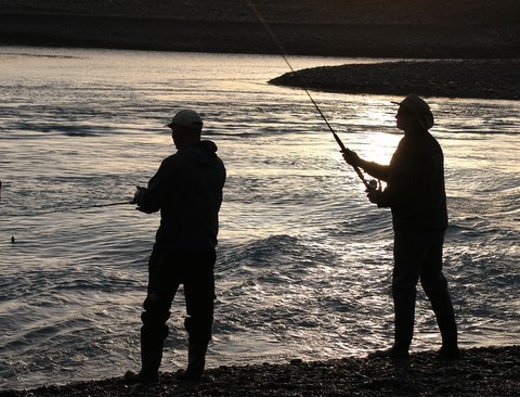 small salmon FGNZ NC RakaiaFishingCompSat19a