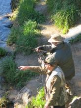 Ngongy May 2014