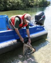 Matt Osborne Lake Tarawera 0