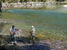 Didymo testing Clinton River Jan 2015