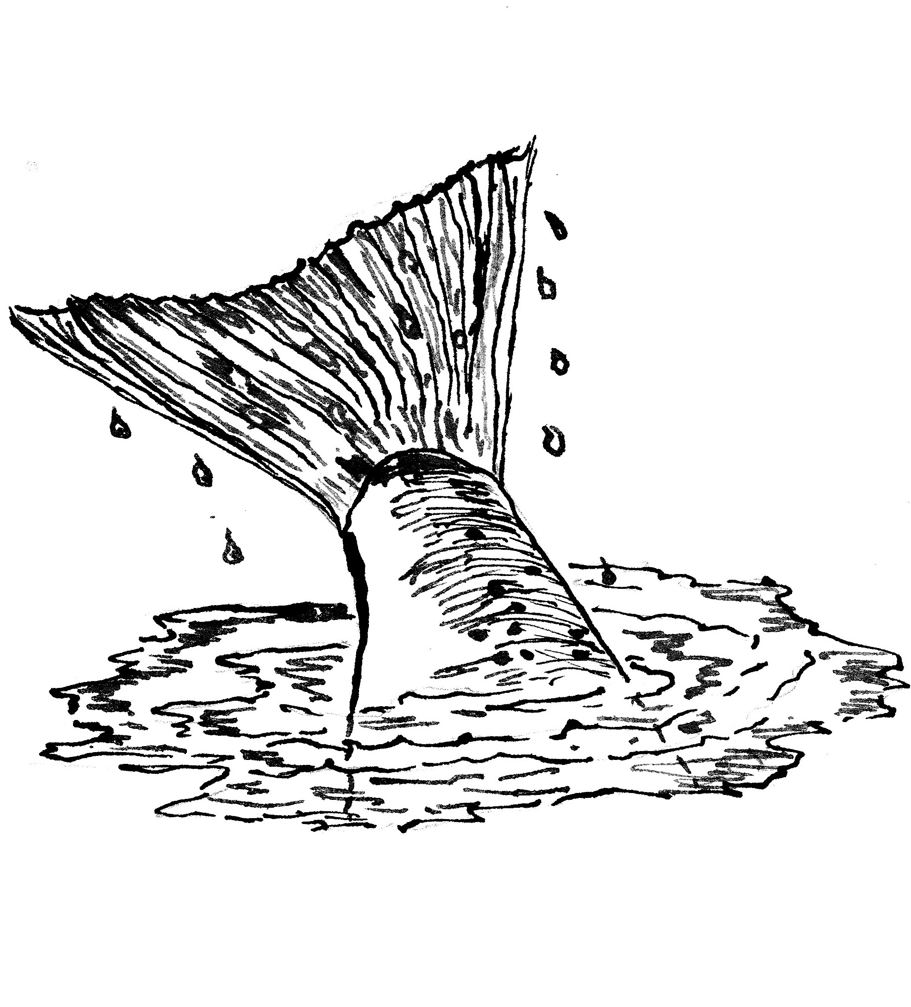 fishdive38