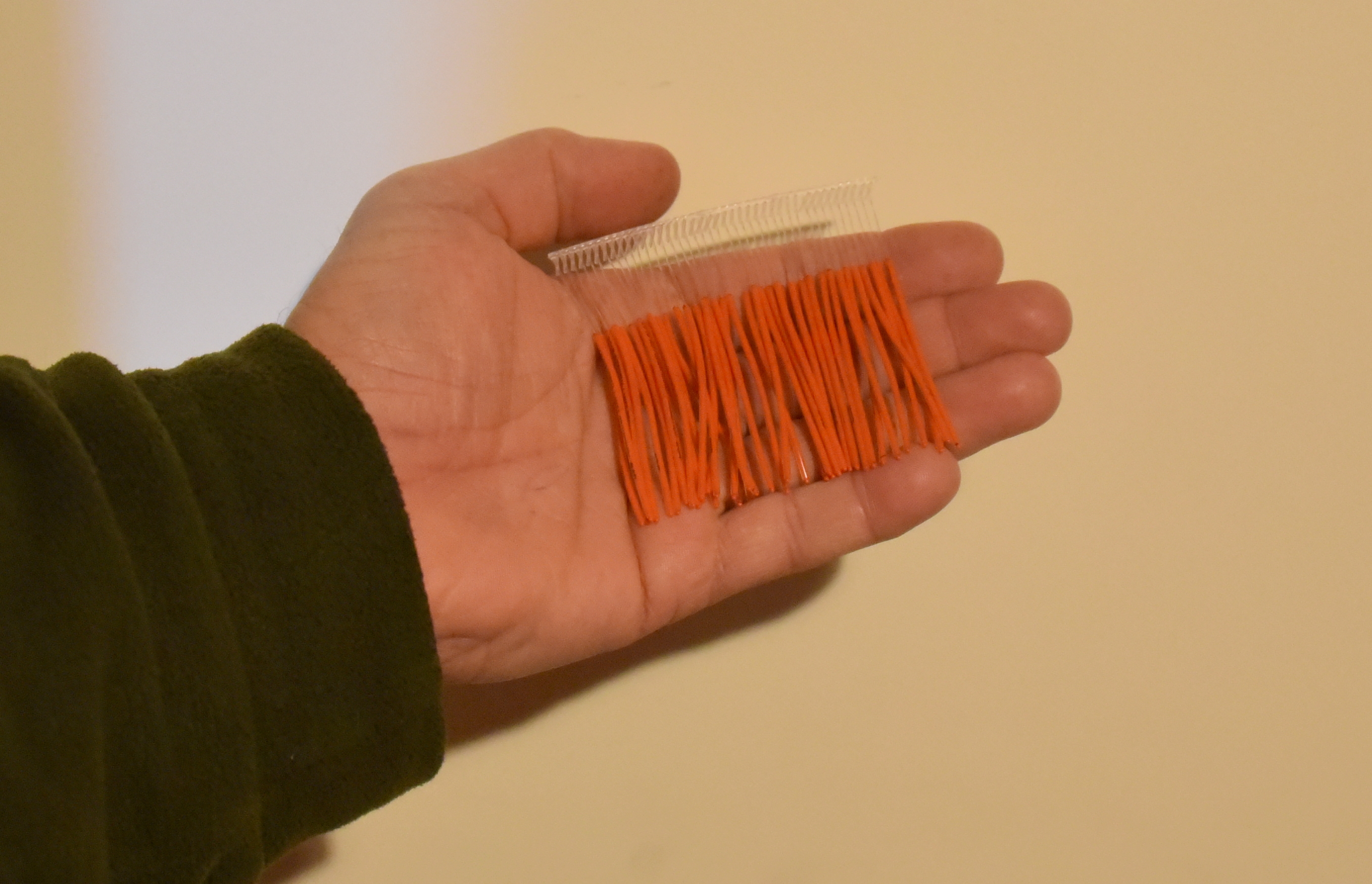 Fish Gold 18 tags 1