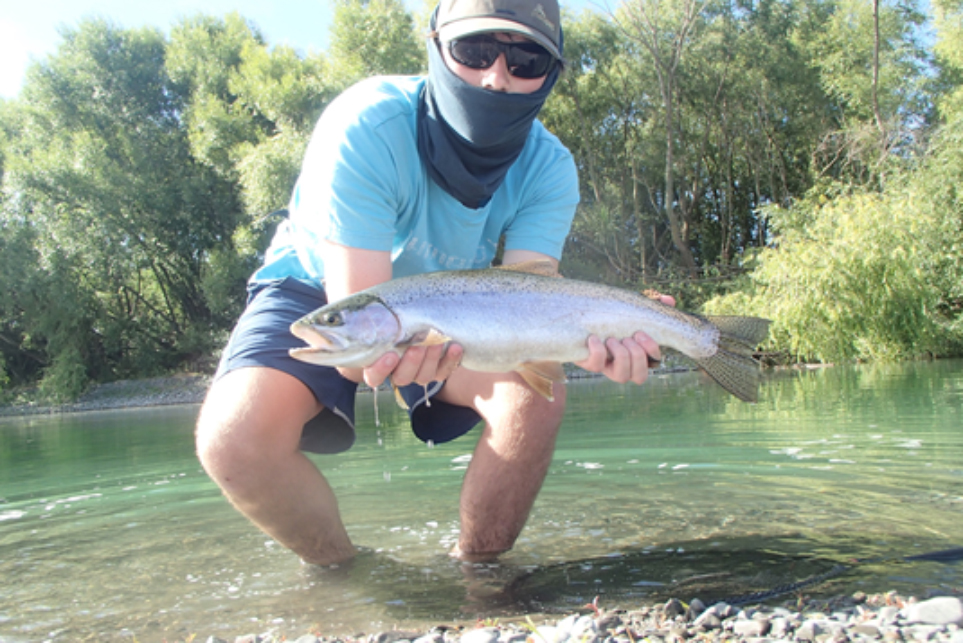 HB fish