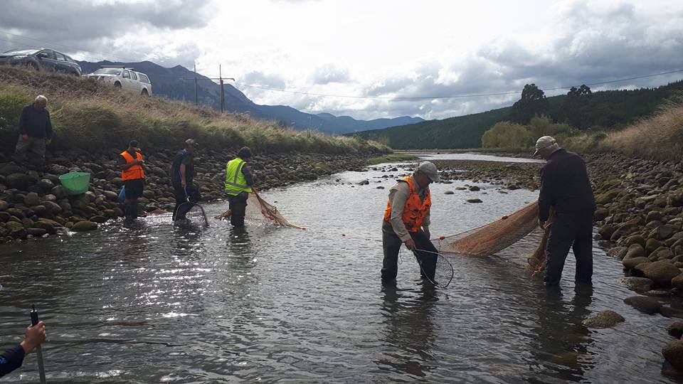 Argyle dewatering