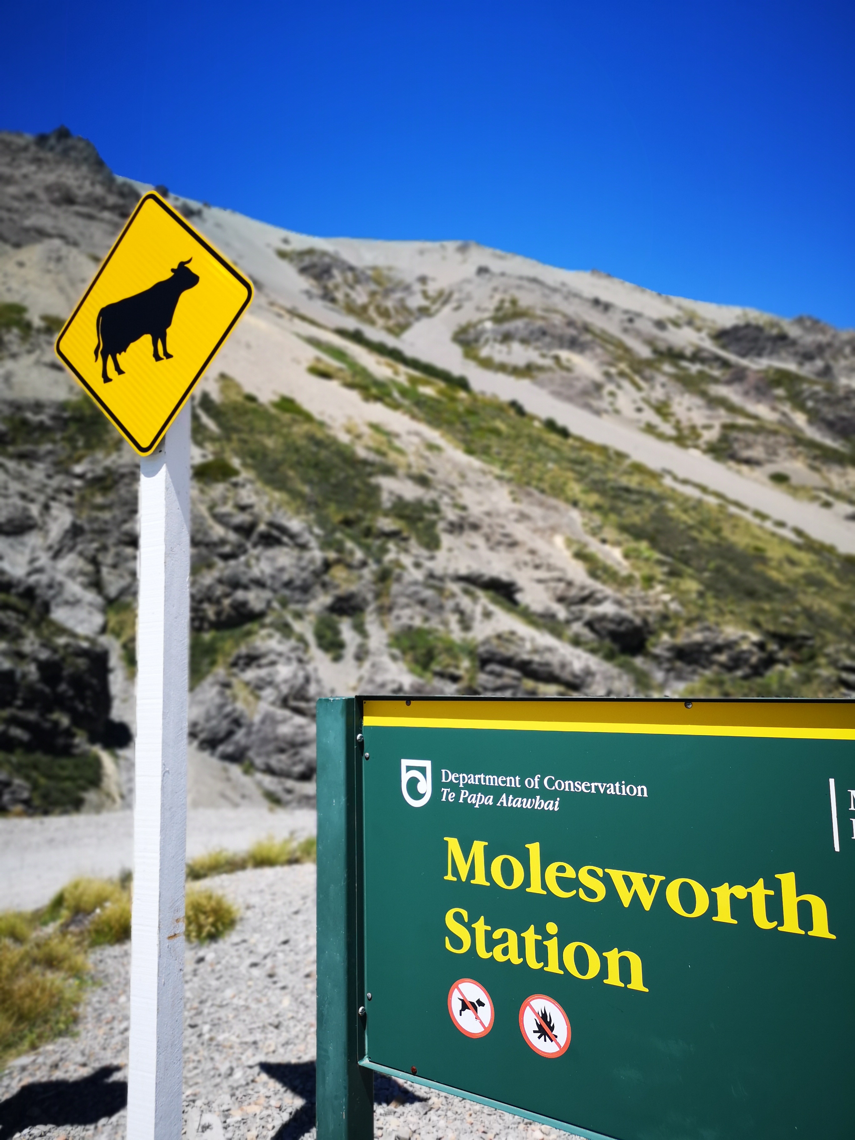 NM Molesworth Road2