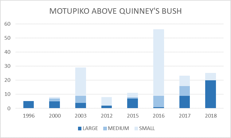 Motupiko above Quninneys