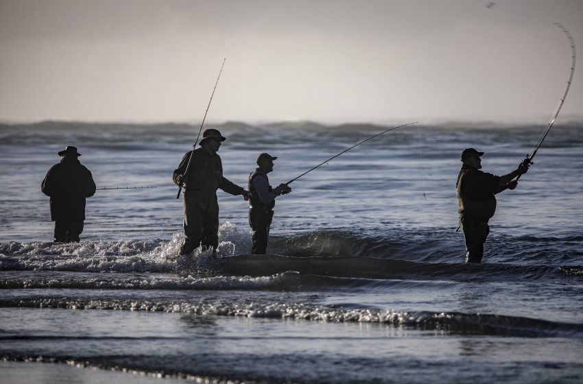 North Canterbury Reel Life January 2020