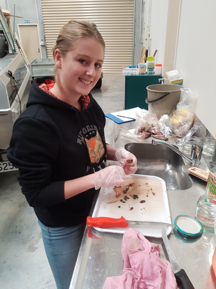 N RL 2 Claire Heyns Trout Gut Analysis