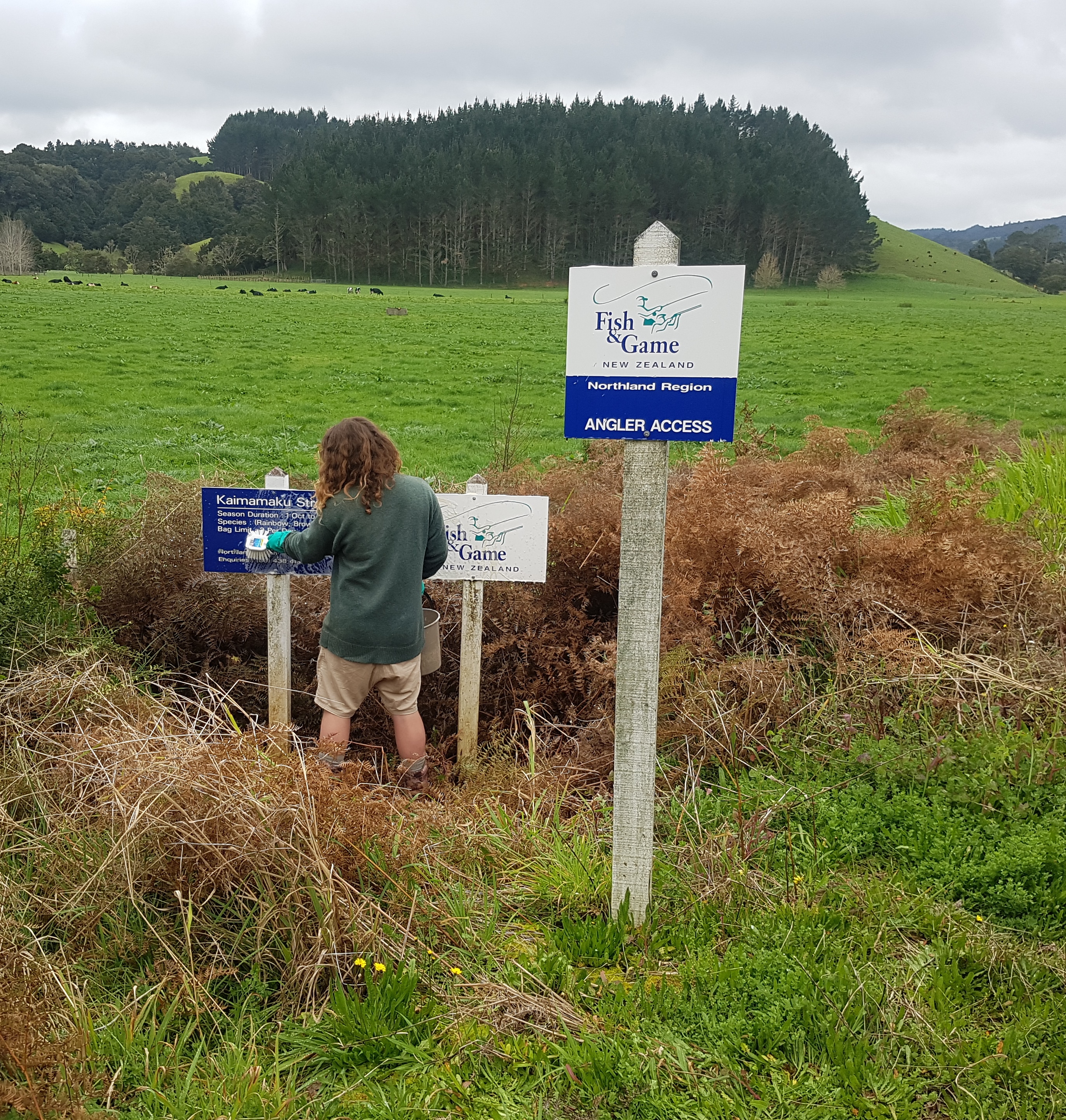 N Tristan Tane Manihera Kaimamaku Stream Signs