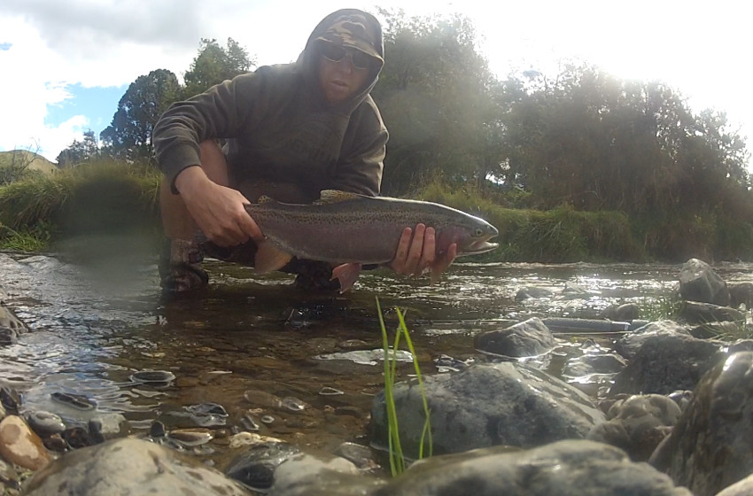 Hawke's Bay Reel Life April 2018