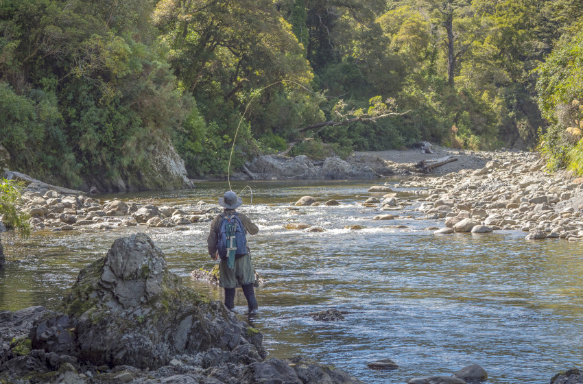 Wellington Reel Life April 2019