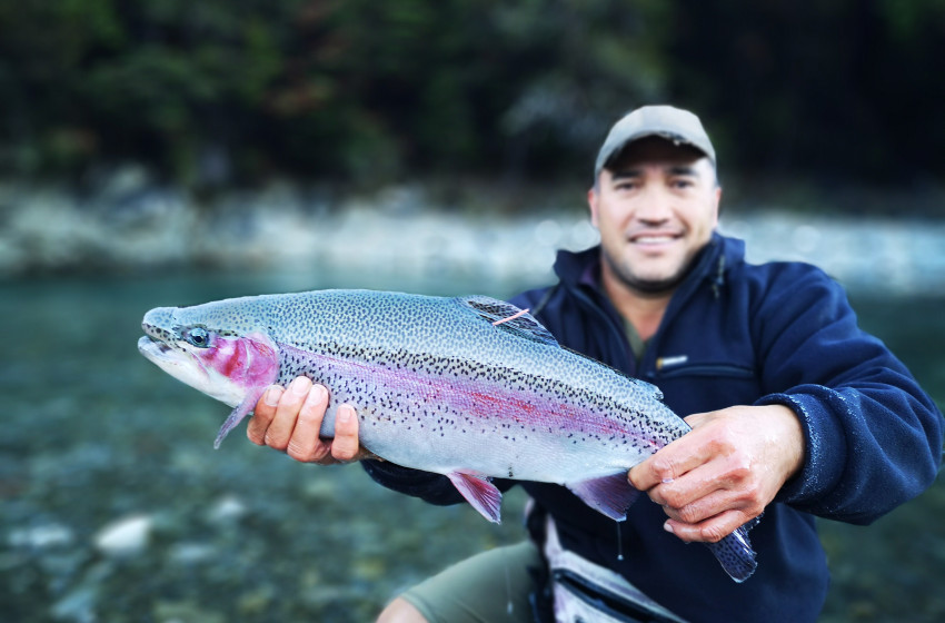 Nelson/Marlborough Reel Life April 2019