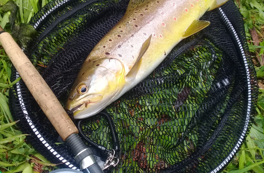 Taranaki Reel Life April 2019