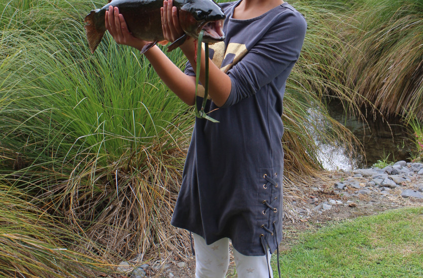 Hawkes Bay Reel Life April 2019