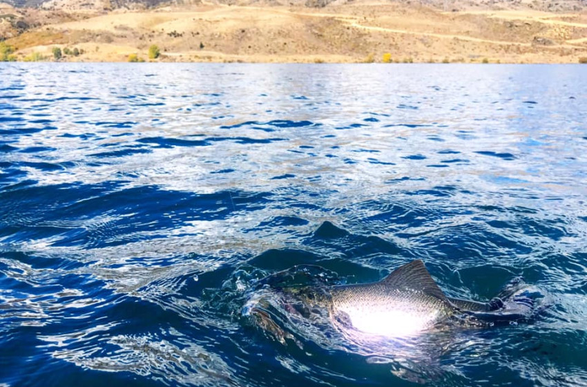 Reel Life April 2021