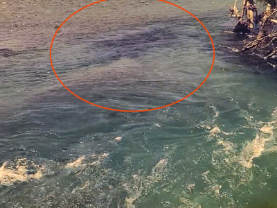 Screenshot 20220323 164229 Gallery copy