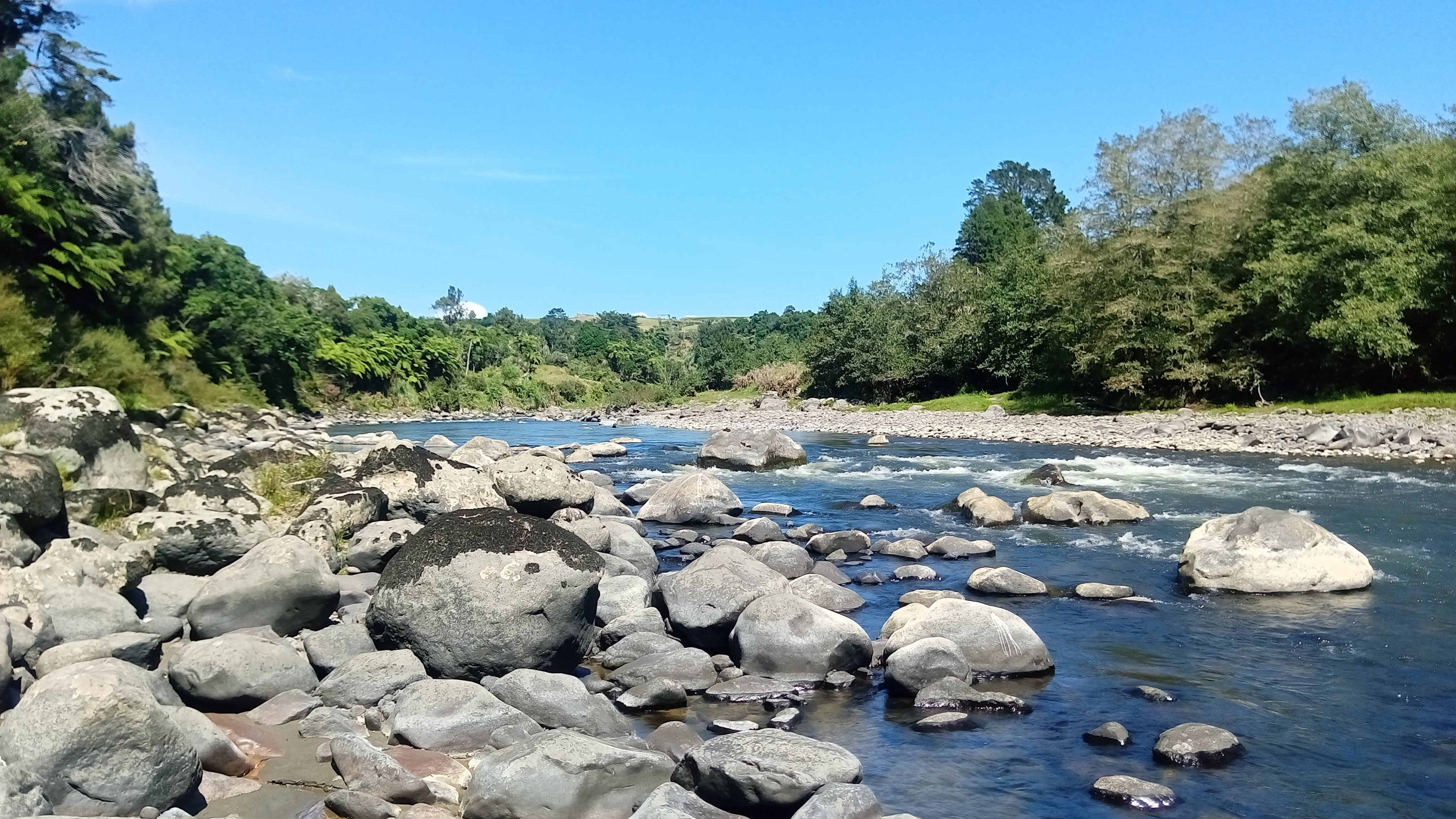 TRL2March 2022. The lower Waitara River as clear as it gets.