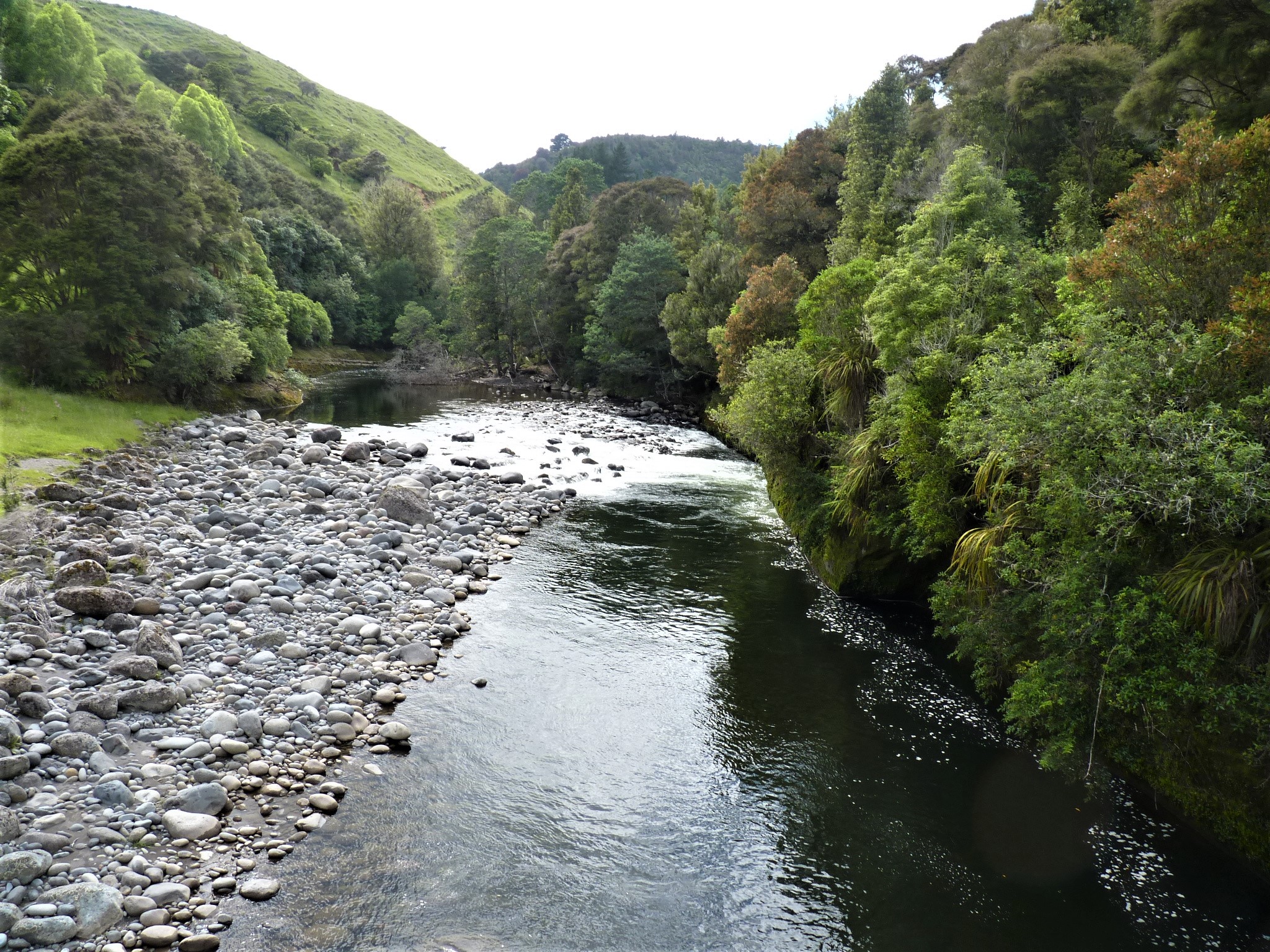 TRL3March 2022. The Manganuioteao looking good