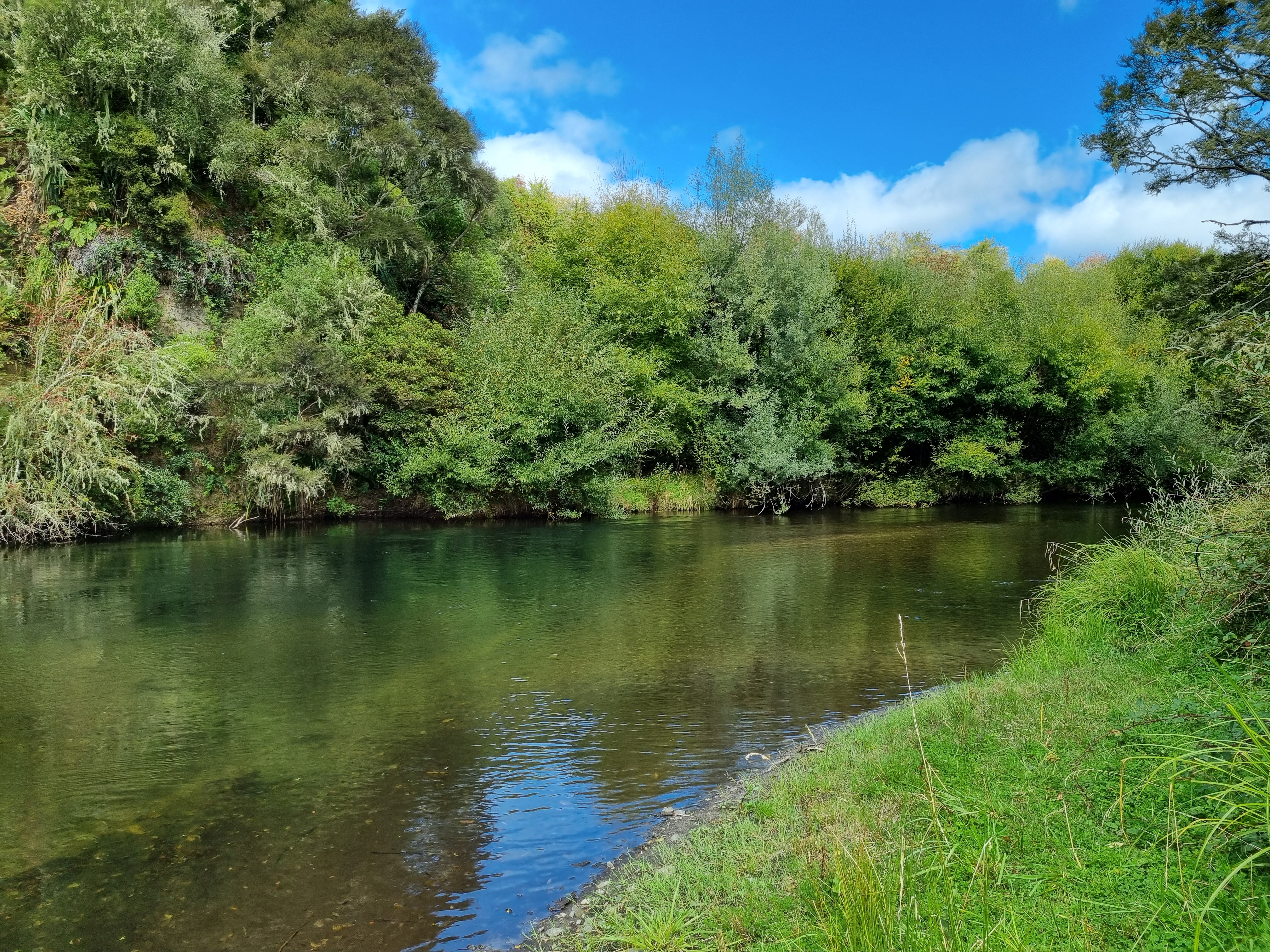 The new Whirinaki River access