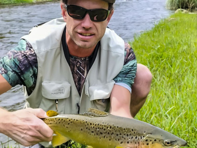 William Adams Brown Trout 1